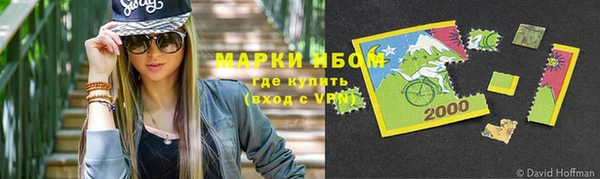 ешки Алексин