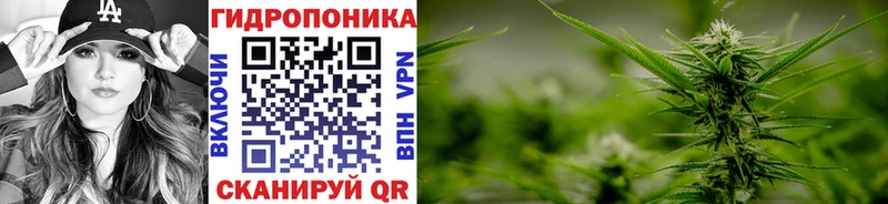 купить  цена  Миньяр  Конопля Ganja 